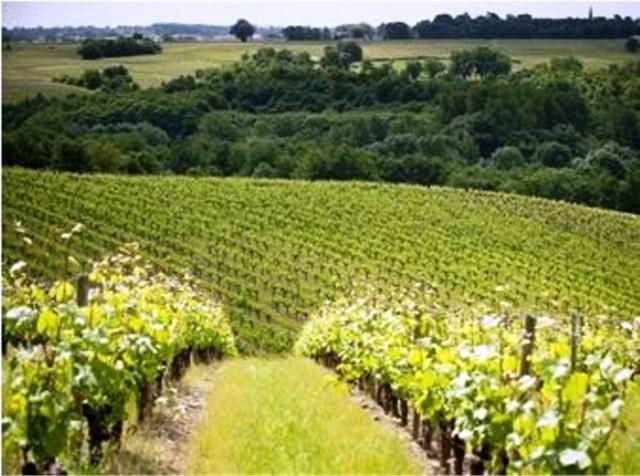 Domaine De La Soucherie - Chambres D'Hotes Beaulieu-sur-Layon Εξωτερικό φωτογραφία