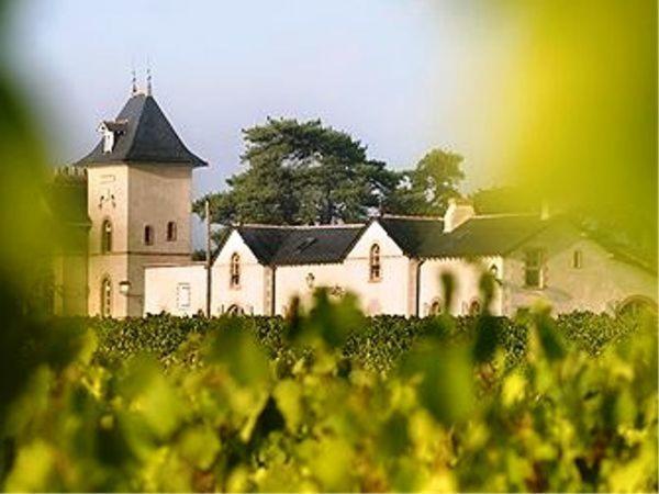 Domaine De La Soucherie - Chambres D'Hotes Beaulieu-sur-Layon Εξωτερικό φωτογραφία