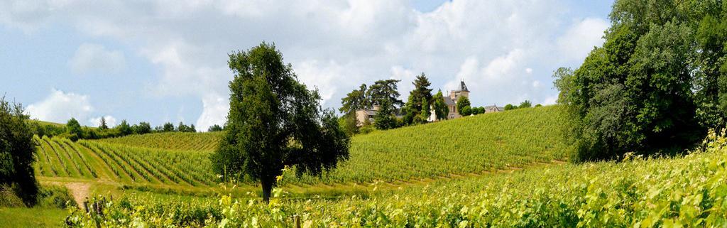 Domaine De La Soucherie - Chambres D'Hotes Beaulieu-sur-Layon Εξωτερικό φωτογραφία