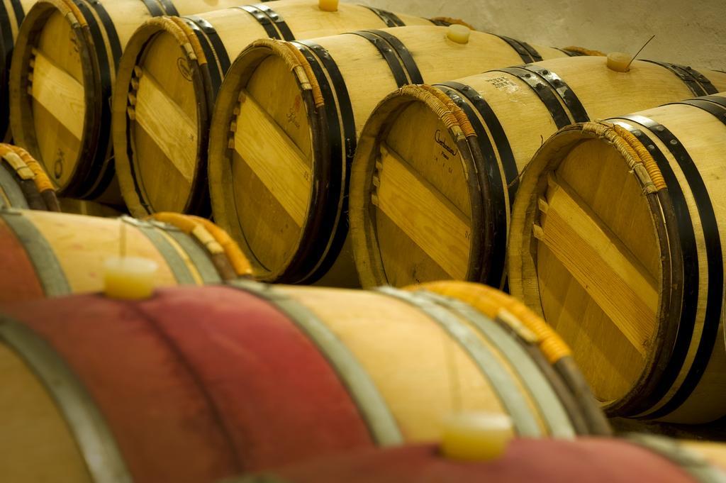Domaine De La Soucherie - Chambres D'Hotes Beaulieu-sur-Layon Εξωτερικό φωτογραφία