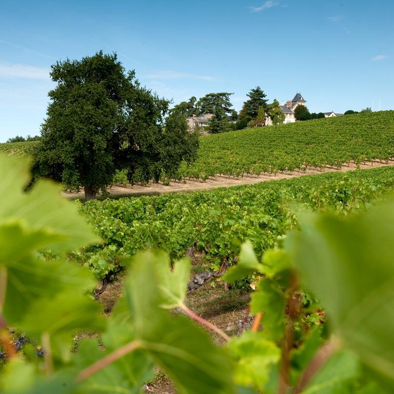 Domaine De La Soucherie - Chambres D'Hotes Beaulieu-sur-Layon Εξωτερικό φωτογραφία