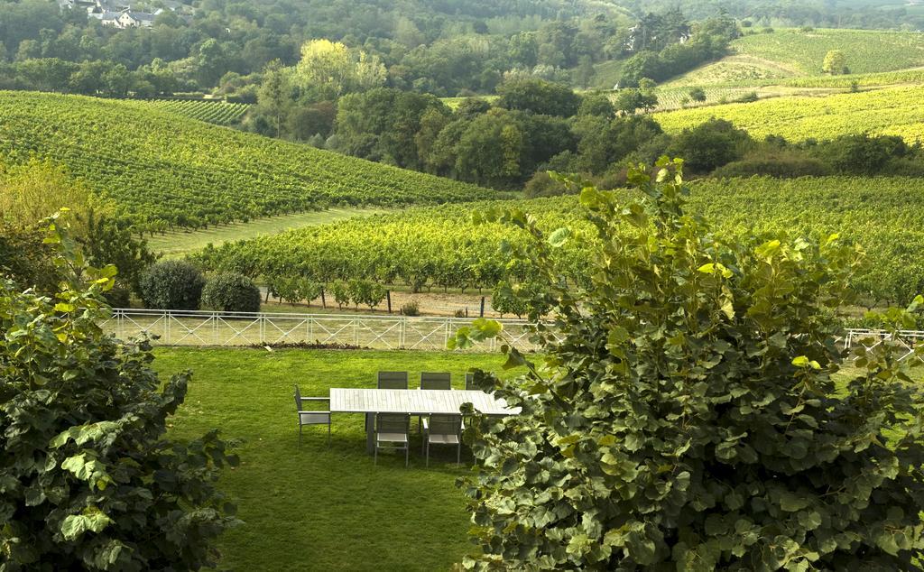 Domaine De La Soucherie - Chambres D'Hotes Beaulieu-sur-Layon Εξωτερικό φωτογραφία